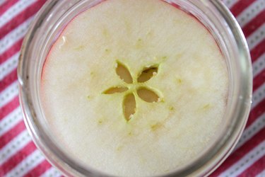 sliced apple star