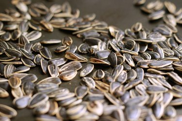 Roasted sunflower seeds.