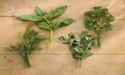 If you're going to Scarborough Fair, add oregano to your list of must-buy herbs.