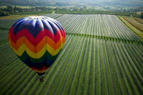 Looking for a unique way to tour wine country? Get a bird's-eye view from a hot air balloon!