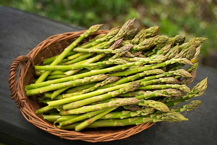 Asparagus. Fresh Asparagus. Green Asparagus in basket.